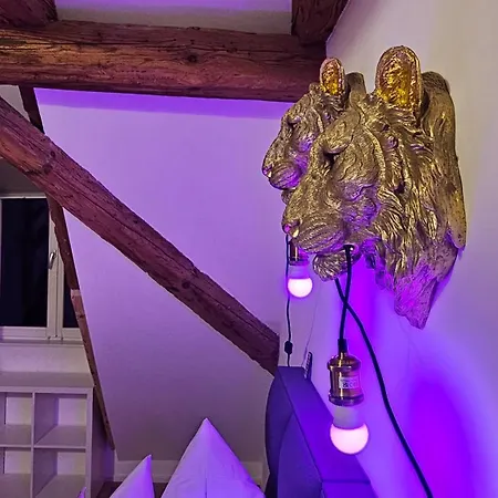 Wood World Luxury - Massage - Bergblick - Tranpolin- Parken Apartamento Markdorf