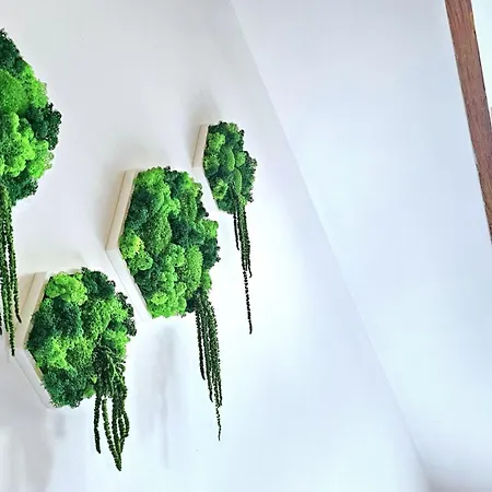 Wood World Luxury - Massage - Bergblick - Tranpolin- Parken Appartamento