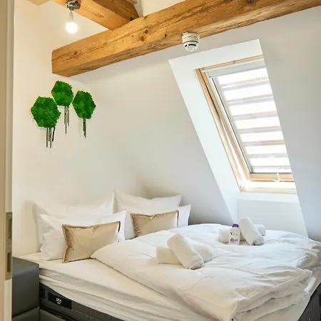 Wood World Luxury - Massage - Bergblick - Tranpolin- Parken Apartment *
