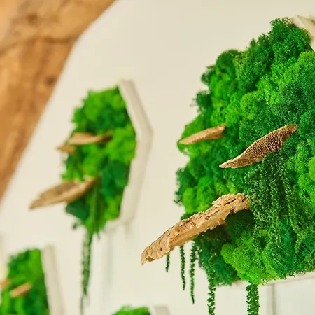 Wood World Luxury - Massage - Bergblick - Tranpolin- Parken Markdorf