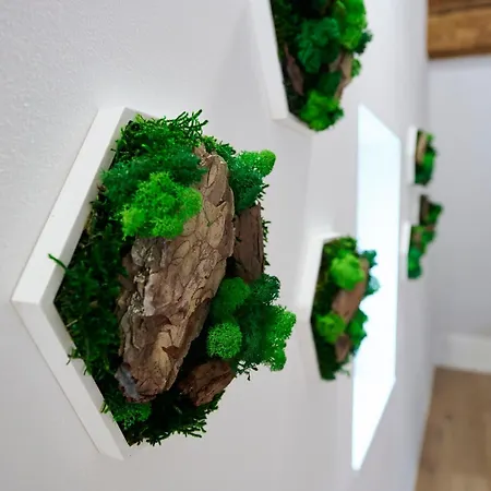 Wood World Luxury - Massage - Bergblick - Tranpolin- Parken Apartment