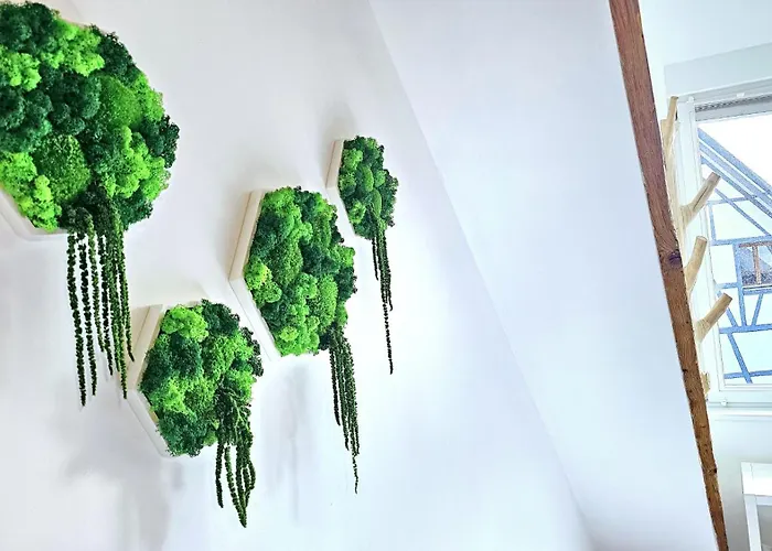 Wood World Luxury - Massage - Bergblick - Tranpolin- Parken Lägenhet