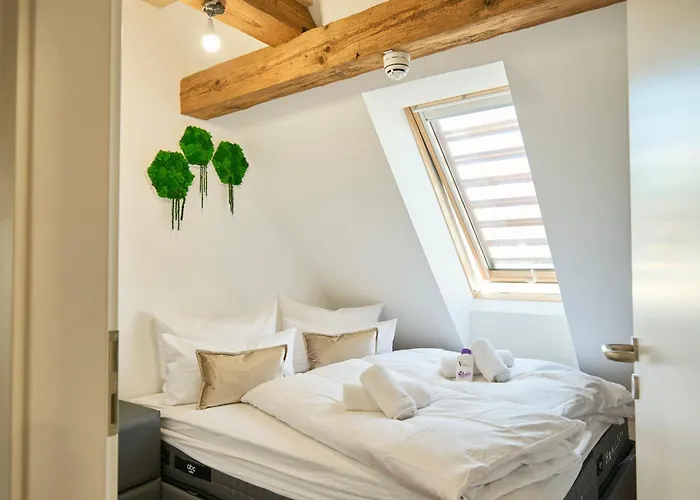 Wood World Luxury - Massage - Bergblick - Tranpolin- Parken Lägenhet *