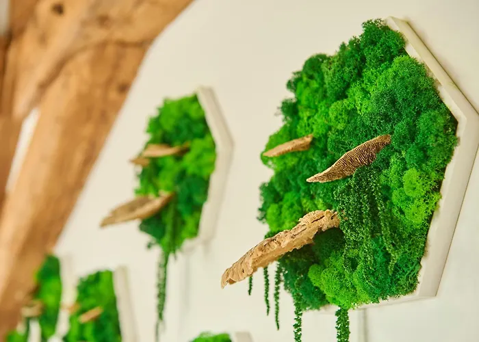 Wood World Luxury - Massage - Bergblick - Tranpolin- Parken Markdorf