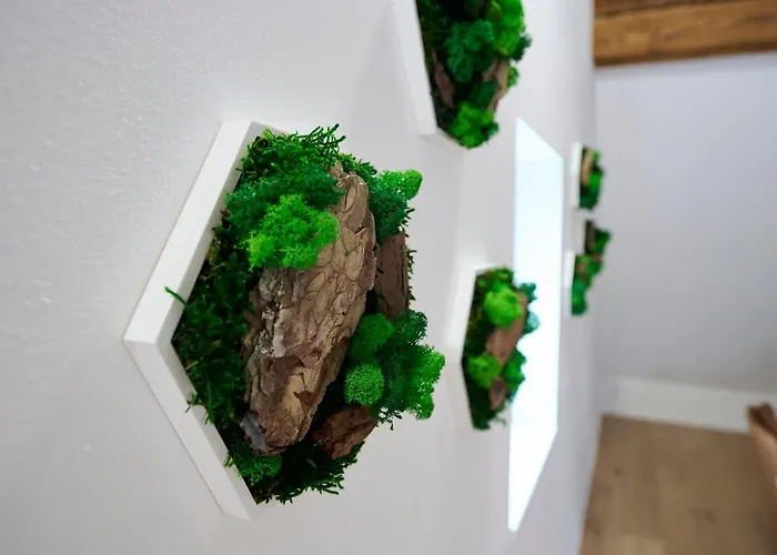 Wood World Luxury - Massage - Bergblick - Tranpolin- Parken Lägenhet